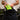 #color_hi-vis-lime